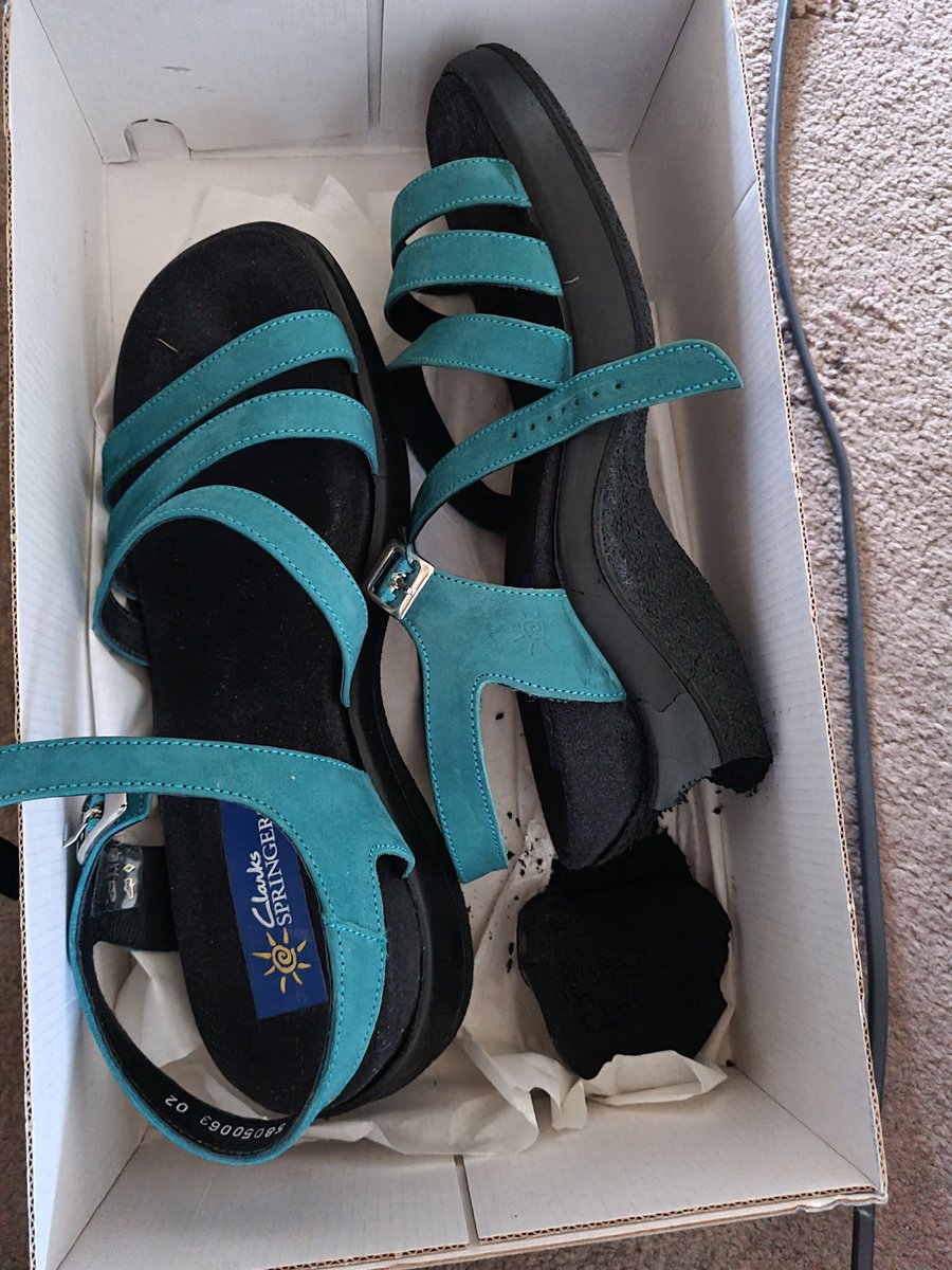 Alison's Bee Class tweet media