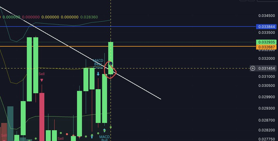 Entered my #VELO position at the breakout.

 I anticipate a Binance listing could be on the horizon, but I plan to take some profits at $0.05 and let the rest ride, assuming the listing doesn’t happen beforehand.

If the Binance listing happens, the plan is to sell the +100%