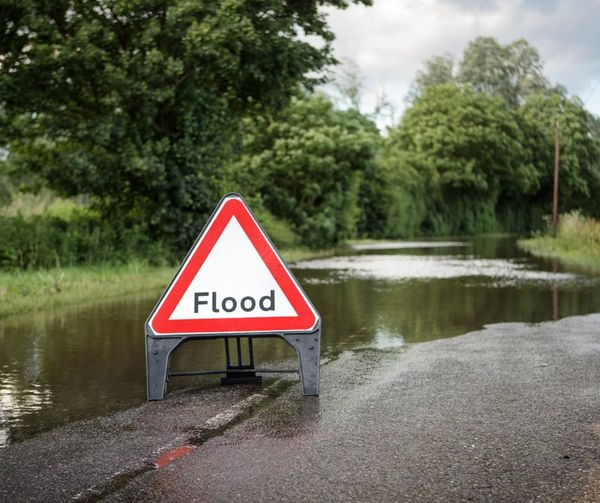 1/4 - ❗️A Flood Warning is in place for River Trent at Attenborough Nature Reserve.

Flooding is expected for: River Trent at Attenborough Nature Reserve including the Visitor Centre.