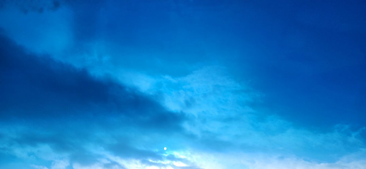 고래🐋 알🥚 (@goraearl) on Twitter photo 