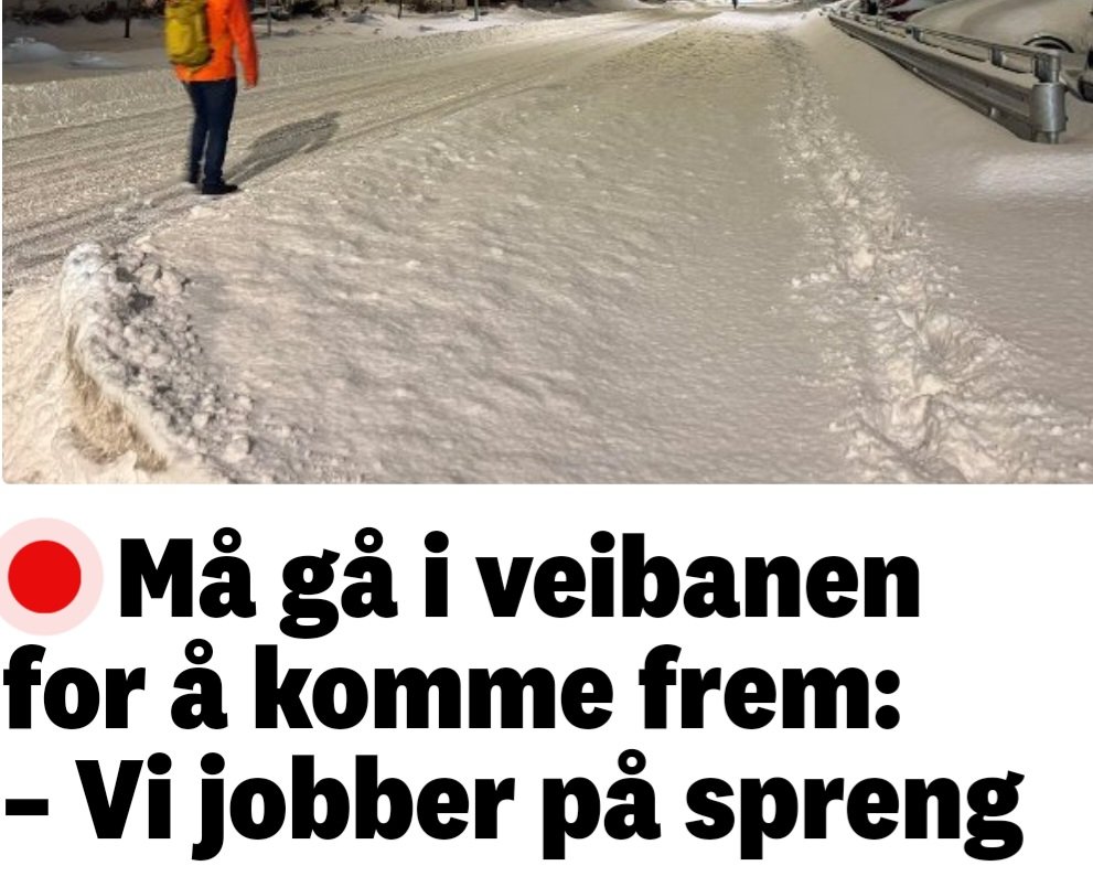 Eivor Evenrud tweet media