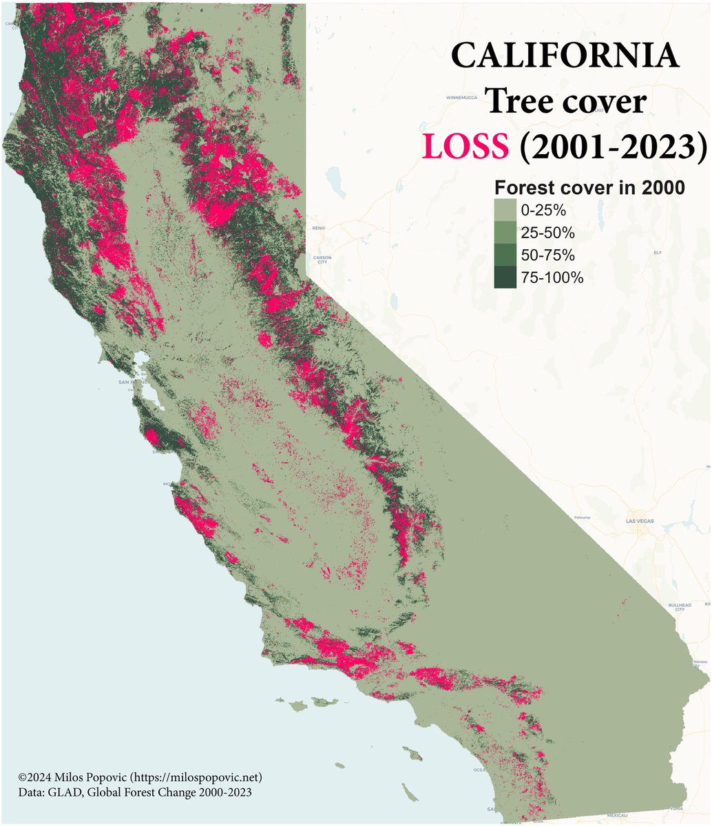 🌲 California’s Forests Are Disappearing

Between 2001 and 2023, California lost a sizeable tree cover. Using GLAD Forest Change data, I mapped it out:

🔴 Pink areas = forest loss
🟢 Green shades = tree cover in 2000

Here's how I create maps like this: youtu.be/wruLRZZpQsk