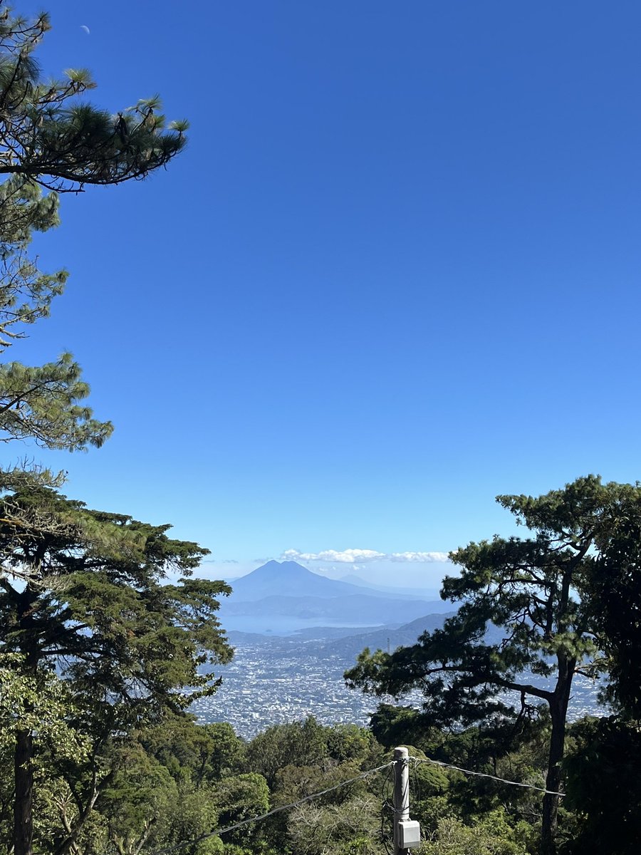 Simon Eyles tweet media