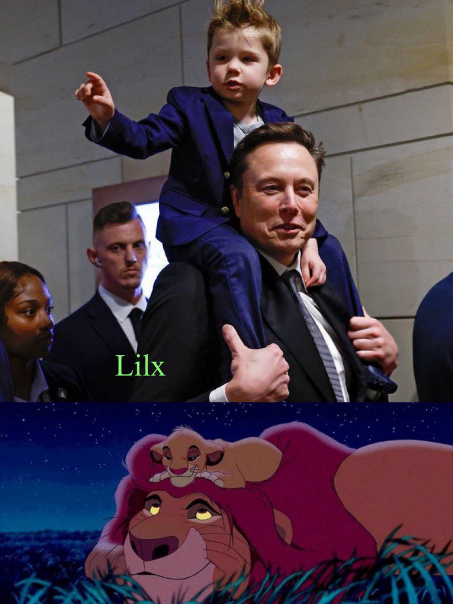 <a href="/elonmusk/">Elon Musk</a> This is so true. Elon’s on a mission to single hand-idly repopulate America! 

Lead the way Elon.

Lil X and the young generation is the future of America.