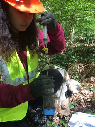 Congratulations to Dr Manon Rumeau <a href="/RumeauManon/">Manon Rumeau</a> who successfully defended her PhD thesis with no corrections! Manon worked on the response of N cycling to elevated CO2 <a href="/BIFoRUoB/">BIFoR</a>. Thanks to <a href="/stefankrauseh2o/">Stefan Krause</a> , <a href="/DJSoilEcol/">Prof David Johnson</a> &amp; <a href="/arnaldpuy/">arnald puy</a> for examining &amp; chairing! Proud of u Manon👋🎓