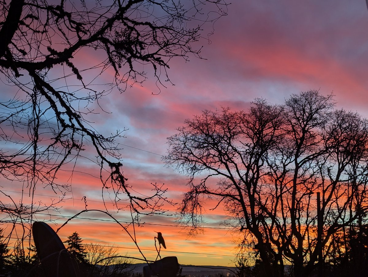 It's going to be a great day.