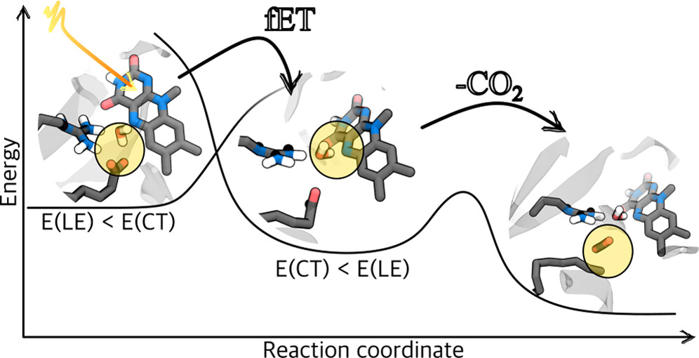 JACS Au (@jacs_au) on Twitter photo An atomistic computational study on the electron-transfer process and decarboxylation mechanism in a fatty acid photodecarboxylase <a href="/MolecolabPisa/">Molecolab Pisa</a> #photobiocatalysis #photoenzyme #compchem
Read the paper 👉 go.acs.org/c7X An atomistic computational study on the electron-transfer process and decarboxylation mechanism in a fatty acid photodecarboxylase <a href="/MolecolabPisa/">Molecolab Pisa</a> #photobiocatalysis #photoenzyme #compchem
Read the paper 👉 go.acs.org/c7X