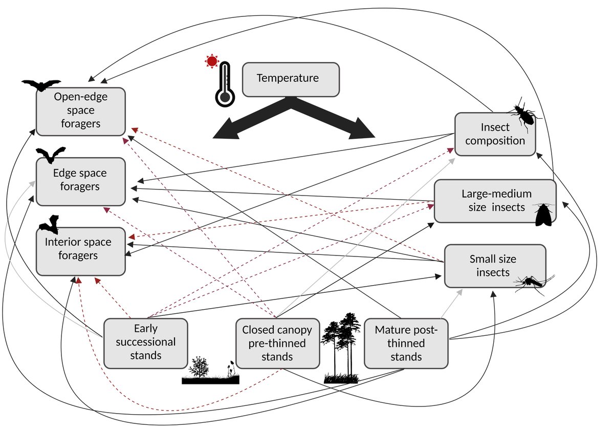 Santiago Perea (@perea1332) on Twitter photo 🎉Excited to kick off 2025 with two great updates!
1️⃣ I’ve started as a Postdoc Research Associate at the #SoundForestLab <a href="/UWMadison/">UW–Madison</a>!
2️⃣ My 3rd PhD chapter is out! We used SEMs to explore how 🦇🔊 relates to the environment, 🌲structure, and 🪲🦟🦋.
📰🔎doi.org/10.1016/j.fore… 🎉Excited to kick off 2025 with two great updates!
1️⃣ I’ve started as a Postdoc Research Associate at the #SoundForestLab <a href="/UWMadison/">UW–Madison</a>!
2️⃣ My 3rd PhD chapter is out! We used SEMs to explore how 🦇🔊 relates to the environment, 🌲structure, and 🪲🦟🦋.
📰🔎doi.org/10.1016/j.fore…