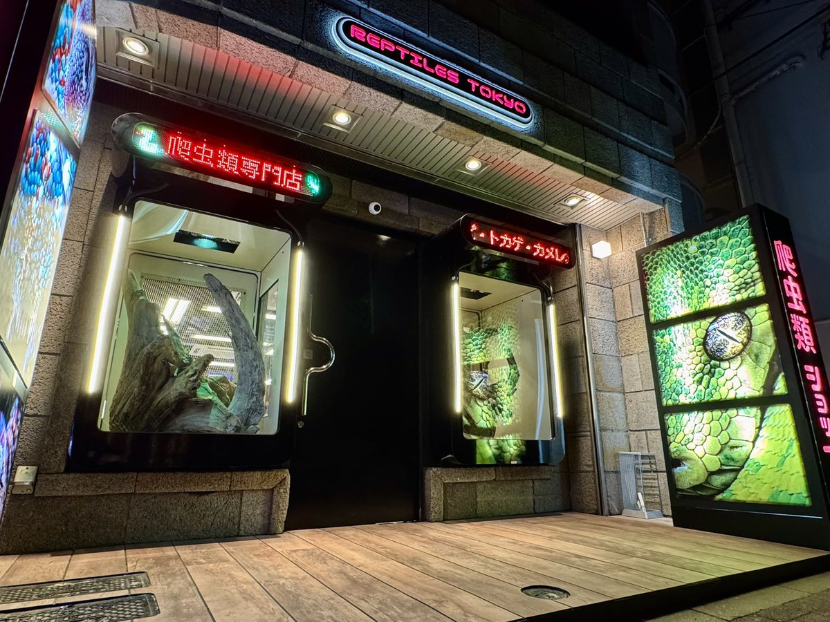 新しいお店出します、楽しみにしていて下さい