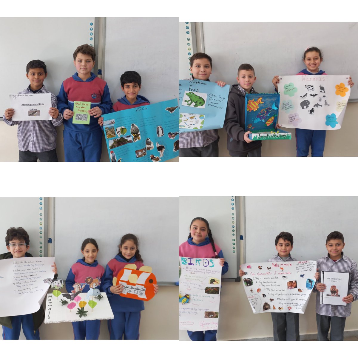 Samah Ghorabi (@samahghorabi) on Twitter photo Grade 4 learners, I am so proud of you for presenting your creative projects with such confidence! You did an amazing job choosing a group of vertebrate and explaining their unique characteristics.
<a href="/makdawhaschool/">Makassed Dawha School</a> <a href="/Natasha1ah/">Natasha Habli</a> <a href="/soha_nj/">Soha Najem</a> Grade 4 learners, I am so proud of you for presenting your creative projects with such confidence! You did an amazing job choosing a group of vertebrate and explaining their unique characteristics.
<a href="/makdawhaschool/">Makassed Dawha School</a> <a href="/Natasha1ah/">Natasha Habli</a> <a href="/soha_nj/">Soha Najem</a>