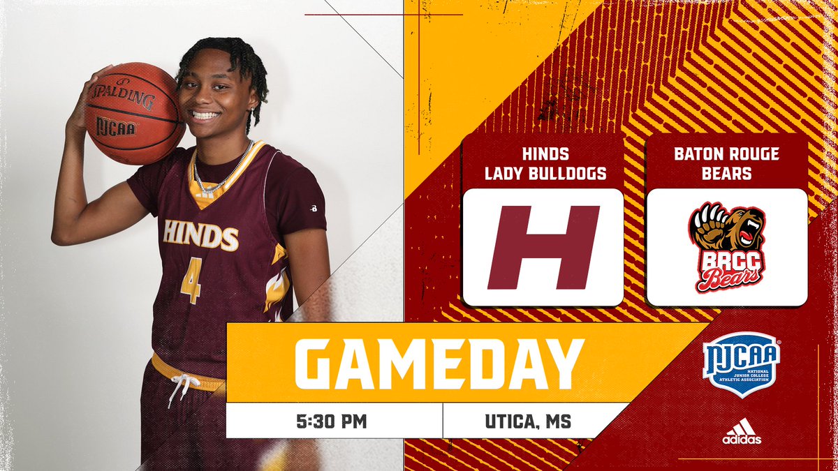 Lady Bulldog Basketball tweet media