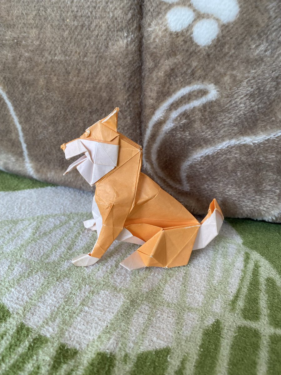 「柴犬」

創作：加藤駿さん
折り手：息子(2024年春☘️)

#折り紙作品