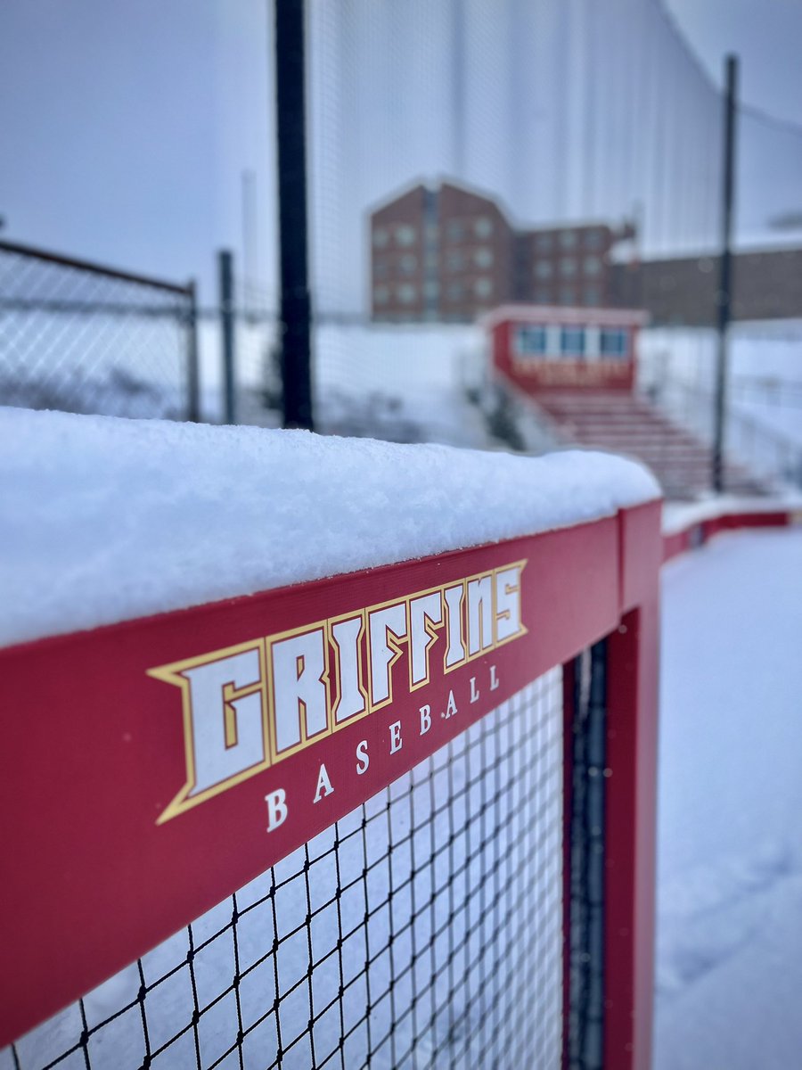 Seton Hill Baseball tweet media