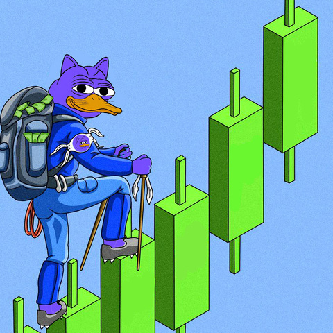 Dukkocoin's tweet photo. $Dukko's path is clear. https://t.co/ytB9Sw7oxv