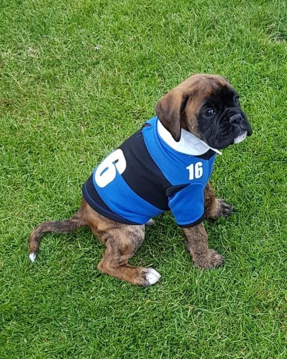 ⚽₊˚⊹♡