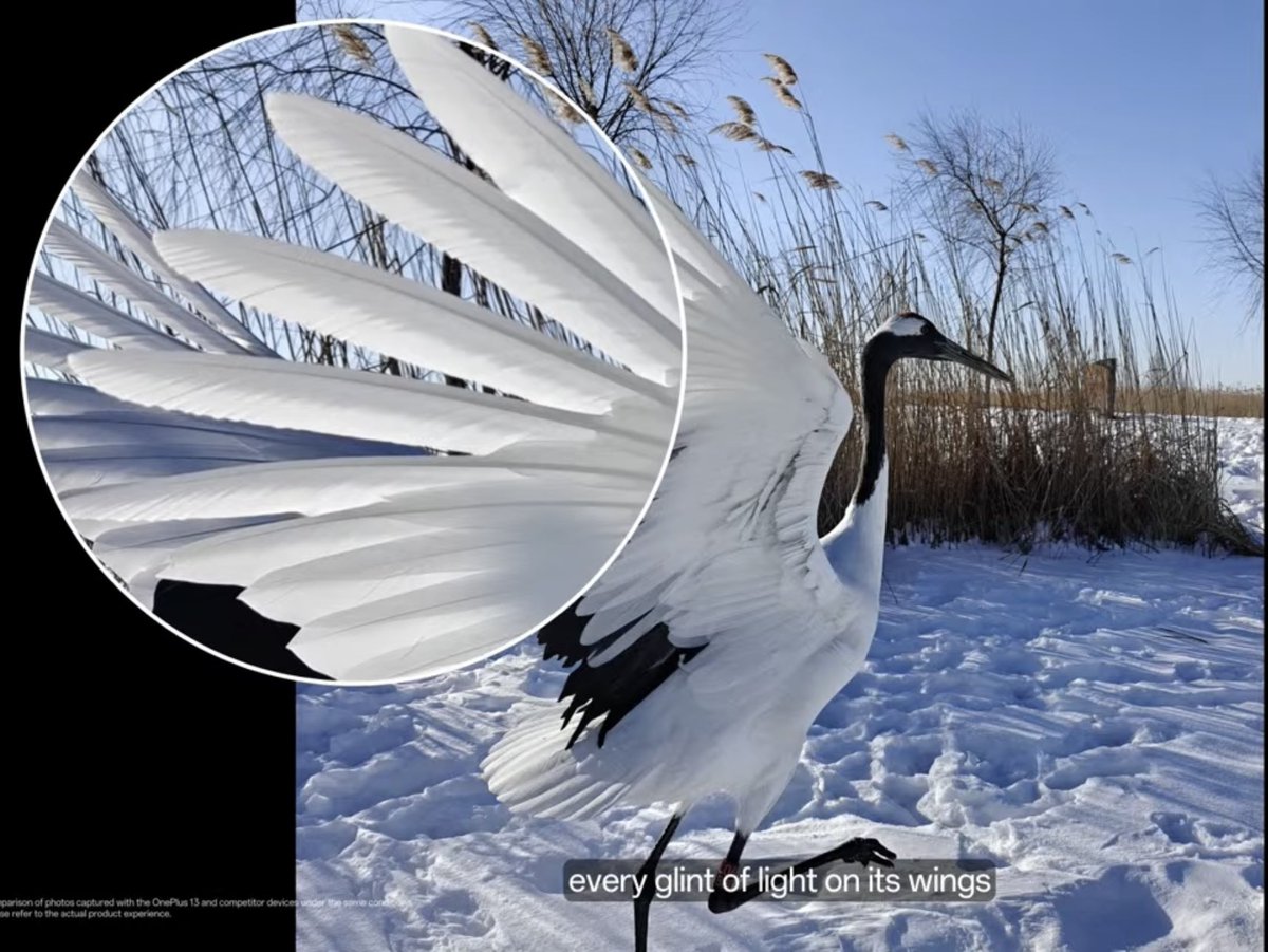 CR_SureshR's tweet image. Oneplus13 series took shot from Oneplus launch event seems like nice improvements in day light #oneplus13 #oneplusseries #oneplusindia