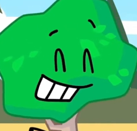daily tree until his inevitable elim tweet media
