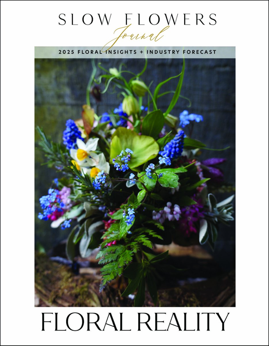 dkprinzing's tweet photo. Hot off the Press! Slow Flowers Floral Insights &amp; Industry Forecast for 2025 #slowflowersjournal https://t.co/EvZdSuqwra https://t.co/mFGjyAx7PG