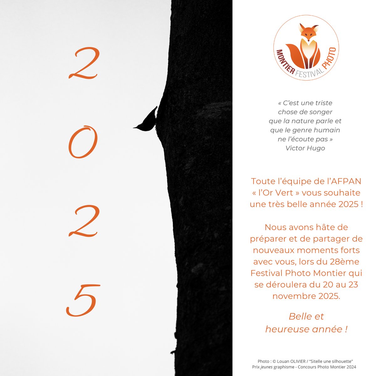 🌟 Une belle et heureuse année 2025 à toutes et tous ! ✨