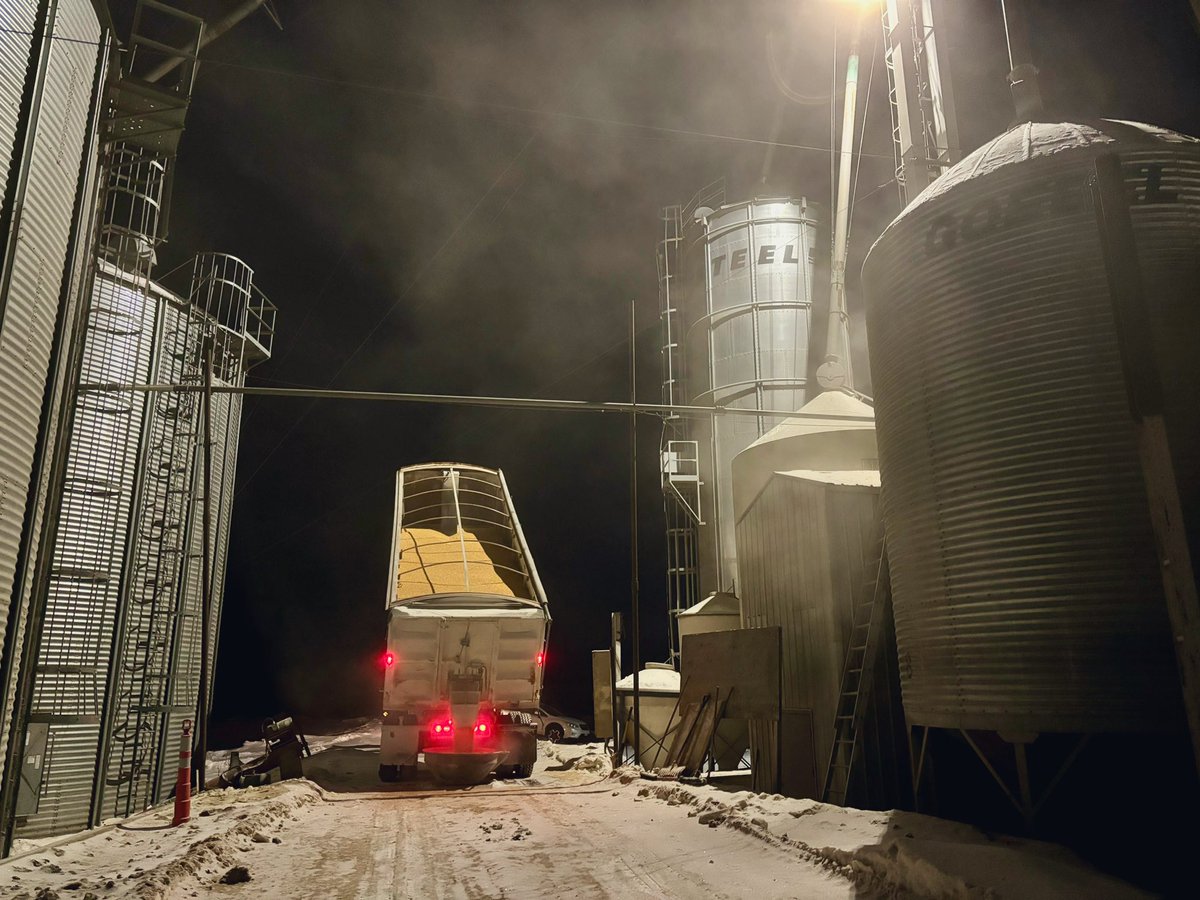 Doing our part to feed the bacon industry 🌽 🐖