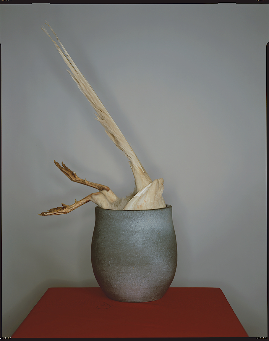 Our Editor in Chief, Michael Kirchoff, was reviewing portfolio's again for CENTER’s Review Santa Fe event last November and discovered some excellent analog photographs that we’d love to share with you all!

Kayhan Jafar Shaghaghi, “Elegy in a Vessel”

kayhan.co.uk