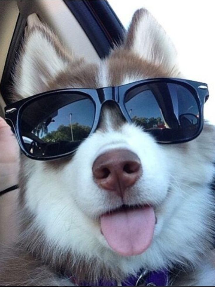 😛🕶