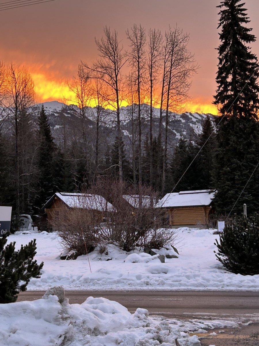 AliasMomma's tweet image. Early morning views 😍
#workperks