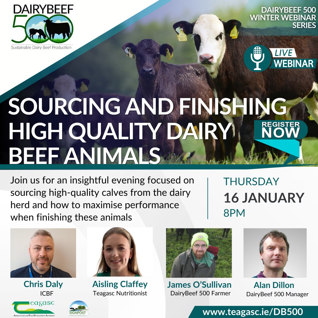 @TeagascMayo (@teagascmayo) on Twitter photo Join our DairyBeef 500 team for their webinar next Thursday 16th of January at 8pm. Really useful event for anyone involved in this farm enterprise <a href="/TeagascBeef/">Teagasc Beef</a>
Register for this event on the following link.
us02web.zoom.us/webinar/regist… Join our DairyBeef 500 team for their webinar next Thursday 16th of January at 8pm. Really useful event for anyone involved in this farm enterprise <a href="/TeagascBeef/">Teagasc Beef</a>
Register for this event on the following link.
us02web.zoom.us/webinar/regist…