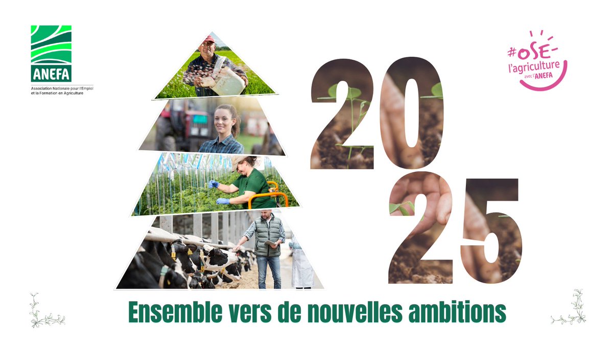 🎉Toute l'équipe de l'ANEFA nationale  vous présente ses meilleurs vœux pour cette année 2025🎉.
De nouvelles ambitions🚀, de nouveaux horizons nous attendent. C'est ensemble que nous relèverons ce challenge🤝. 

#nouveauchallenge #BonneAnnée2025 #oselagriculture