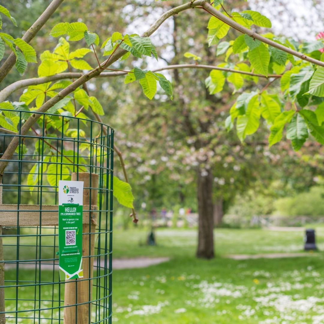 Do you have a favourite spot in your local park? Could it be enhanced with a tree? 🌳🌲

Our work with local authorities means you can sponsor a tree in your local park, as well as outside your home! Start 2025 with a treat for your whole community to enjoy 👉