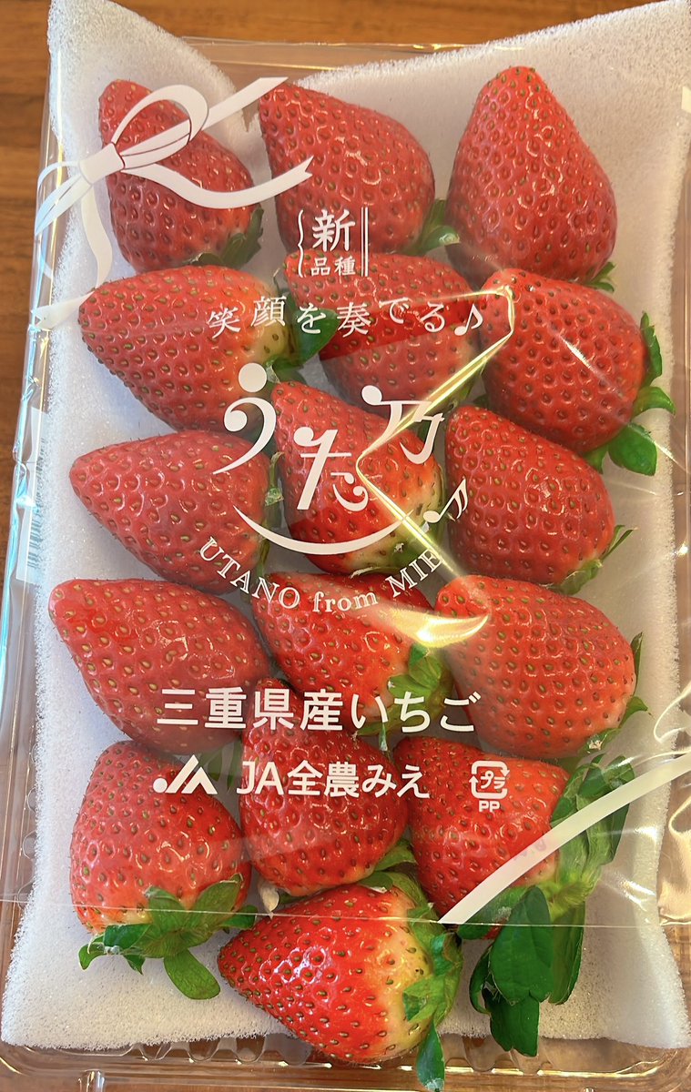 うた乃 三重県 三重県オリジナル種子繁殖型イチゴの新品種「うた乃