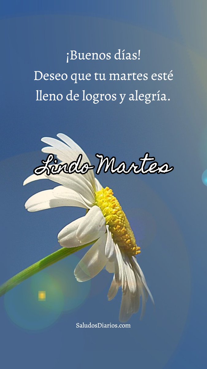 maripor7301's tweet photo. Buenos días!!
Que se nos cumpla todo.
Bendiciones 🙏 https://t.co/sKZqVEoLkn