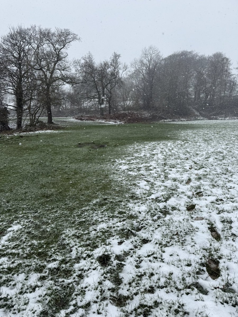 Mark Storie tweet media