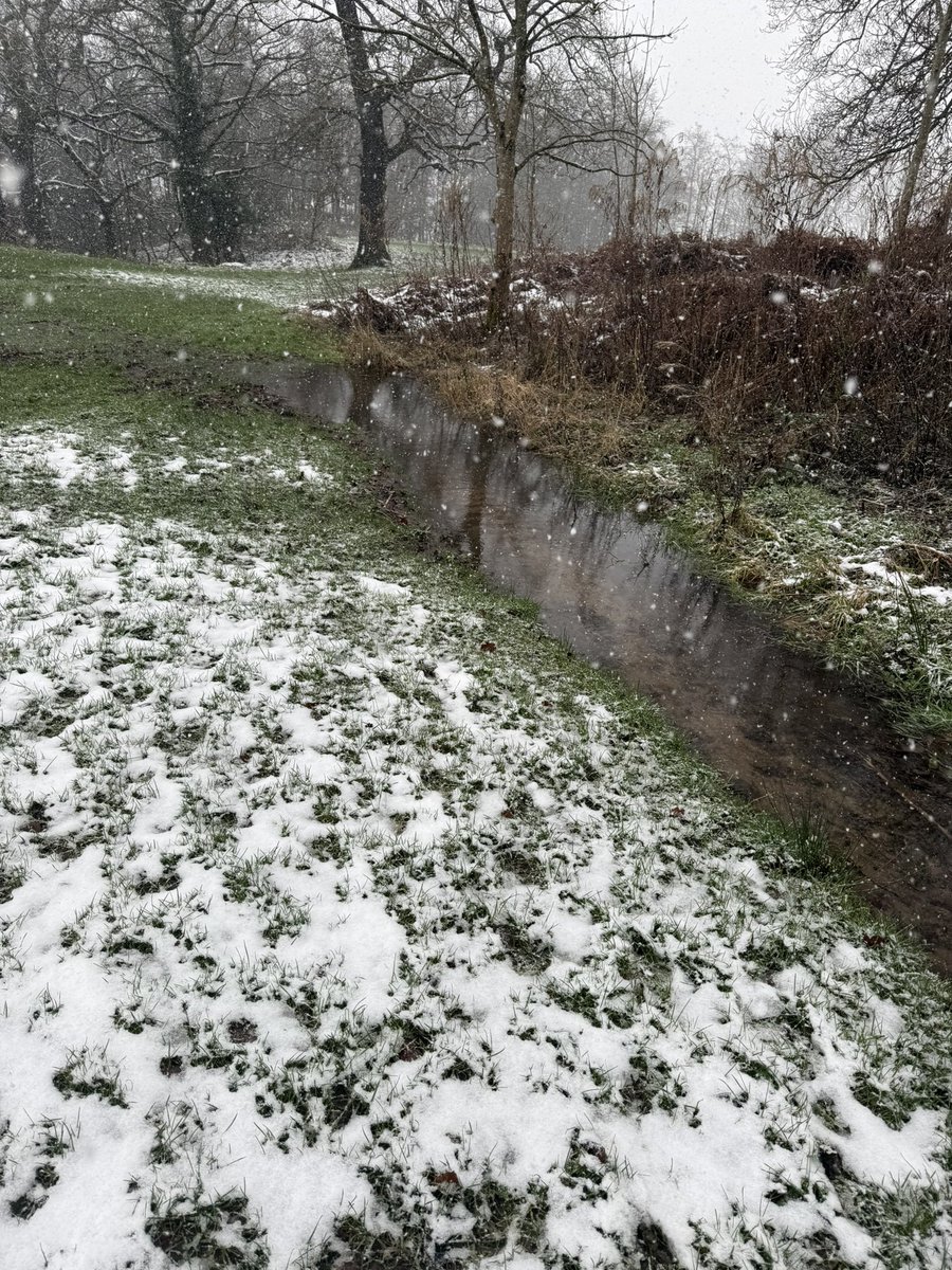 Mark Storie tweet media