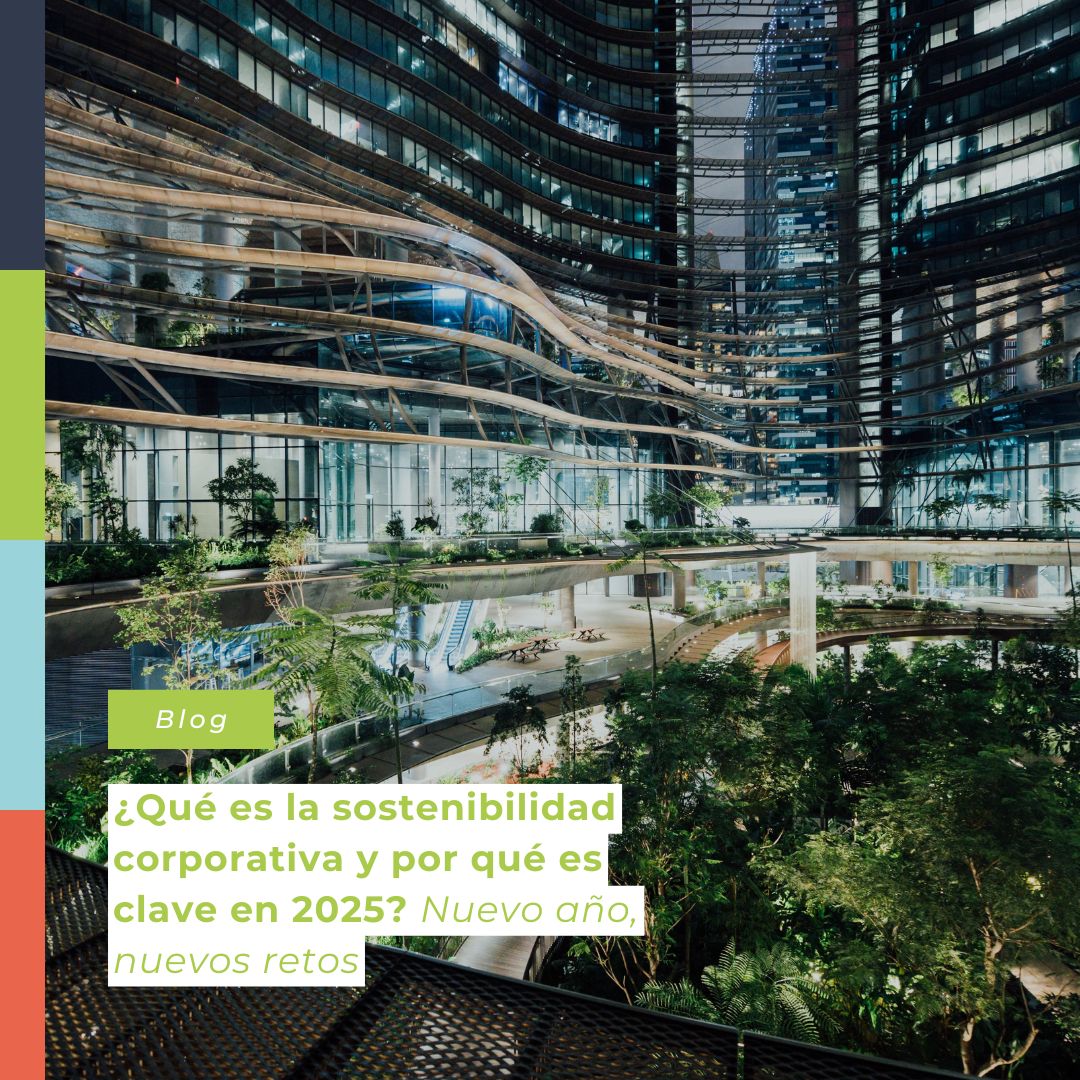 🌿 ¿Qué es la sostenibilidad corporativa?

En 2025, integrar la sostenibilidad en las empresas es más crucial que nunca. Este enfoque no solo cuida del planeta, sino que fortalece la competitividad, optimiza recursos y genera confianza entre clientes e inversores.