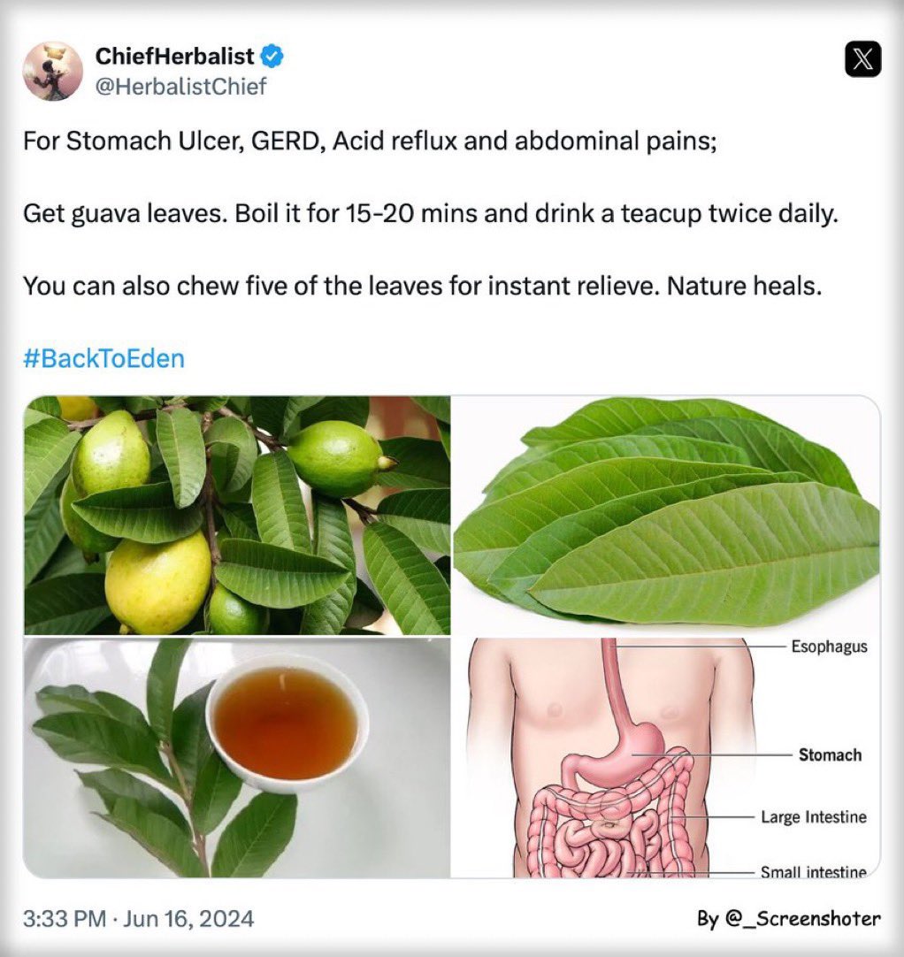 HerbalistChief's tweet photo. Acid reflux disappears. 

Nature heals. https://t.co/IZT1tS4jJv