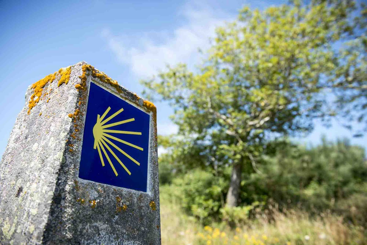 buron_de's tweet photo. No 2025 Terras de Burón segue sendo o **mellor destino de montaña de Galicia**, un lugar onde a maxia dá natureza e a autenticidade se xuntan. 
#TerrasDeBurón #TurismoDeMontaña #Galicia2025
https://t.co/8NfElWRm20 https://t.co/OU8wE99VUa