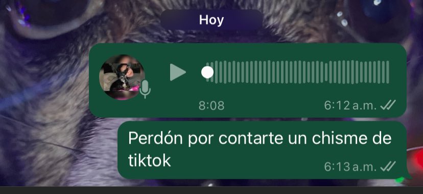 JosftJames's tweet photo. Como me desperté temprano me salió en tiktok del chisme de la niña matcha y la hija de la sol león.
Obviamente no me podía quedar con esa información y le tuve que contar a mi novio https://t.co/3iaRlS6GZu