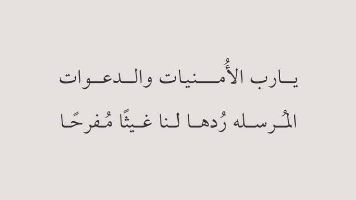 Raneem tweet media