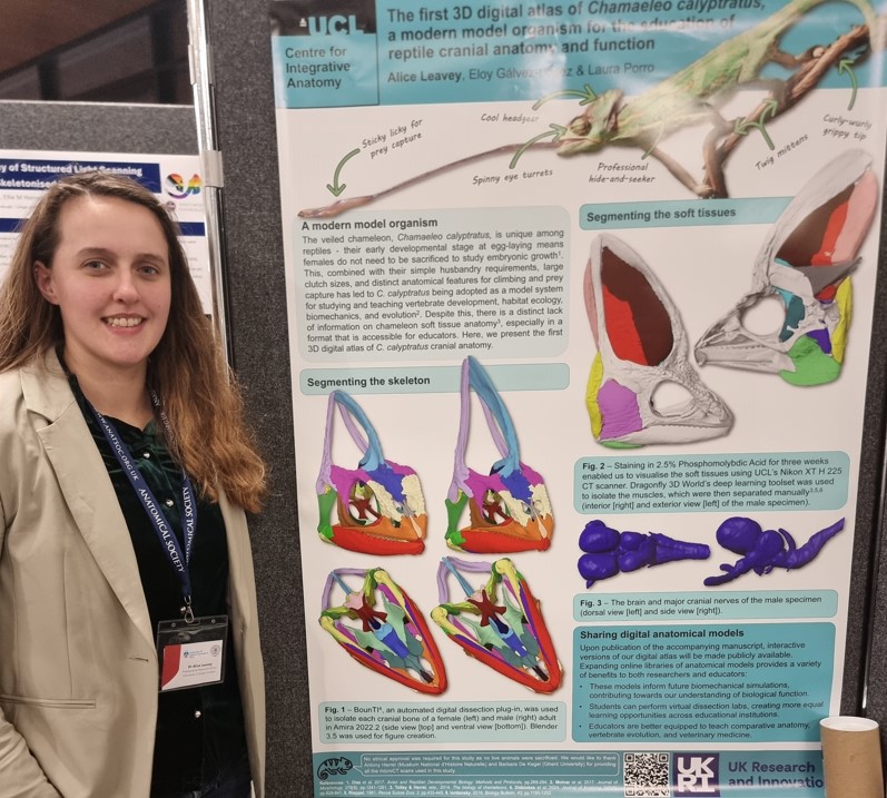 Our <a href="/AliceInEvoland/">Dr Alice Leavey</a> (Dr Alice Leavey) is presenting a poster at <a href="/anat_soc/">Anatomical Society</a>'s Winter Meeting this week under the theme of Anatomical Education and Imaging. Alice's talk was on using micro-CT-derived digital models of the veiled #chameleon 
<a href="/uclcdb/">UCL Research Dept of Cell & Developmental Biology</a> <a href="/UCLLifeSciences/">UCL Faculty of Life Sciences</a> <a href="/uclbiosciences/">UCL Biosciences</a>