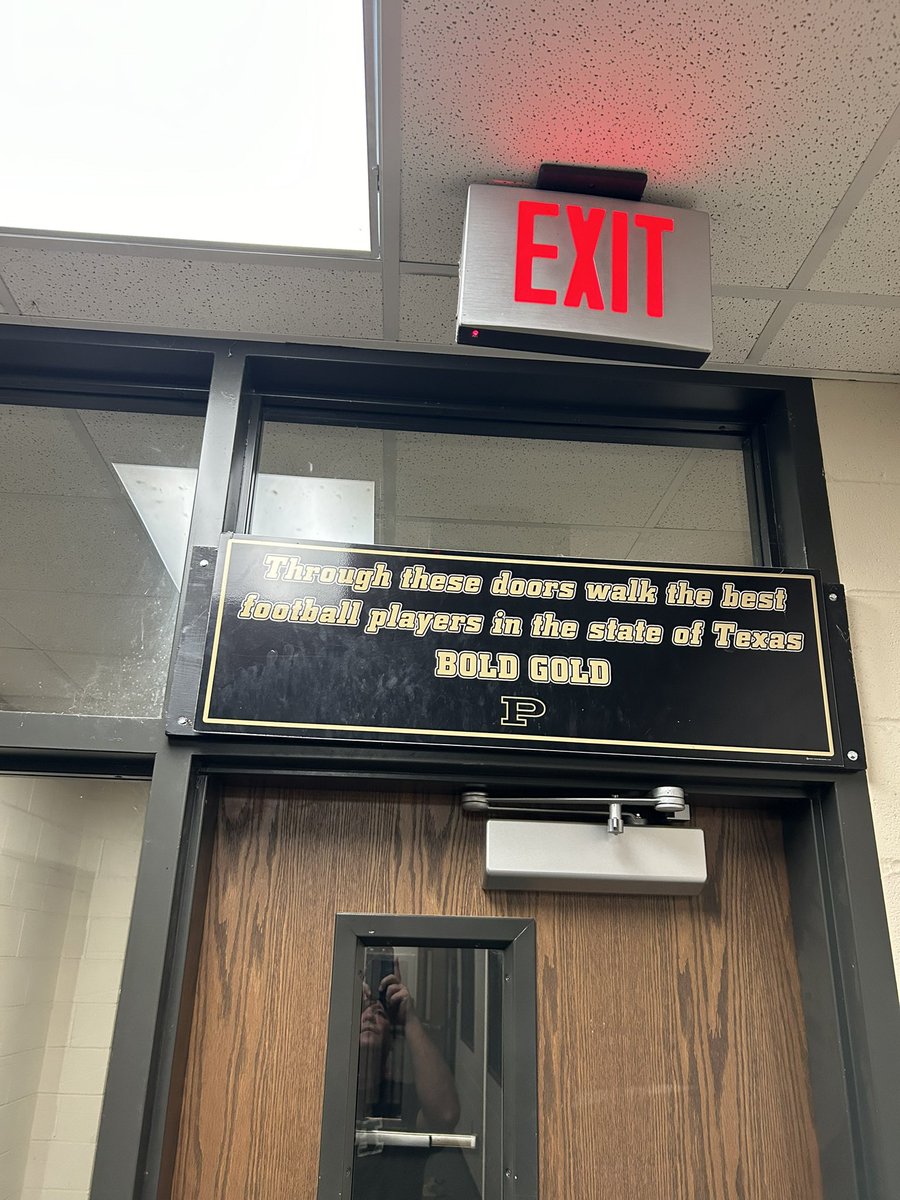 Hayden Patterson tweet media