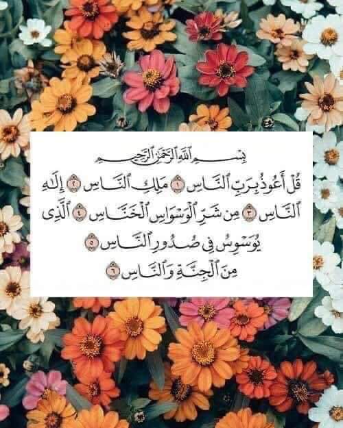 ⁷⁴ Kнσℓσυɒ 🇵🇸 tweet media