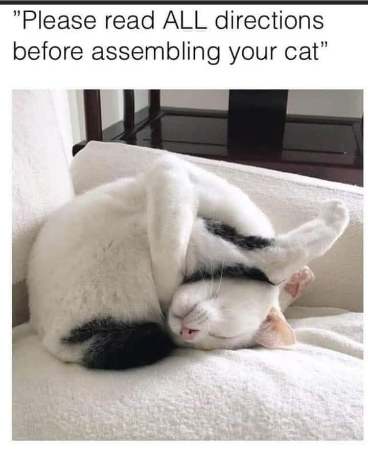 🌱LoezzB 🐾 tweet media