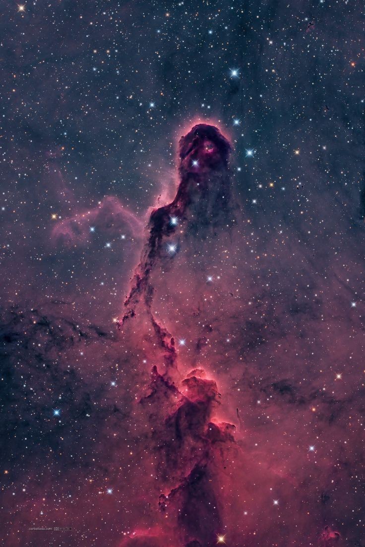 maiz_julio's tweet image. Elephant trunk nebula (lC1396) by Jose Carballada (Flickr) flickr.com/photos/carball…