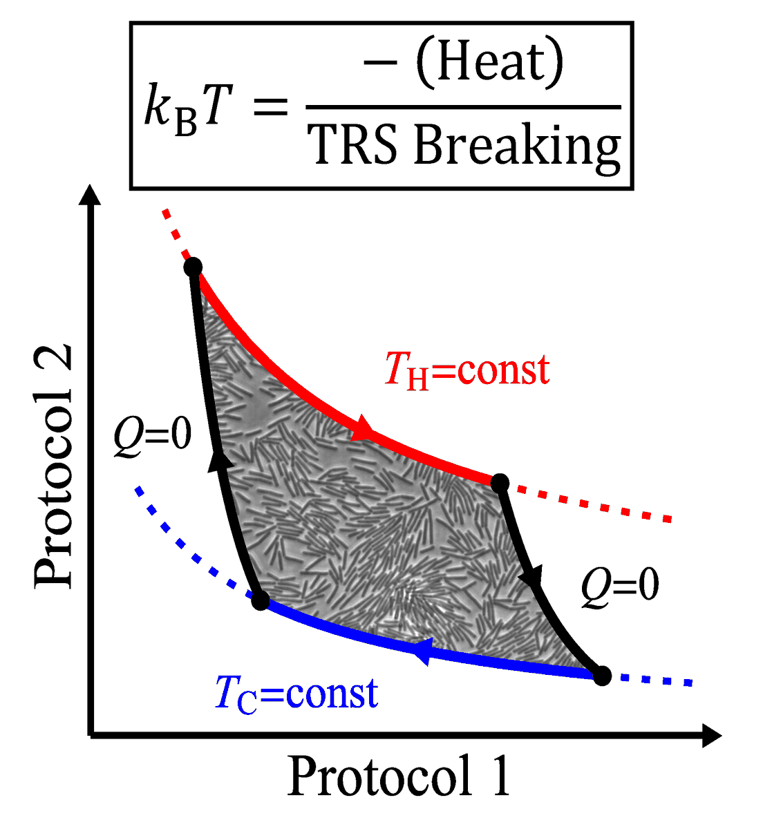 APSphysics's tweet photo. Research in @PhysRevLett proposes a temperature-like variable that resolves the breakdown of the second law of thermodynamics in nonequilibrium systems like chemical reactions. The authors hope it could overcome the limits of the #Einstein relation. 

🔗 https://t.co/w3PjP2qS4P https://t.co/vhgy2uhgrk