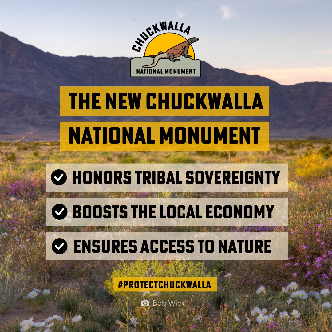 Protect California Deserts tweet media