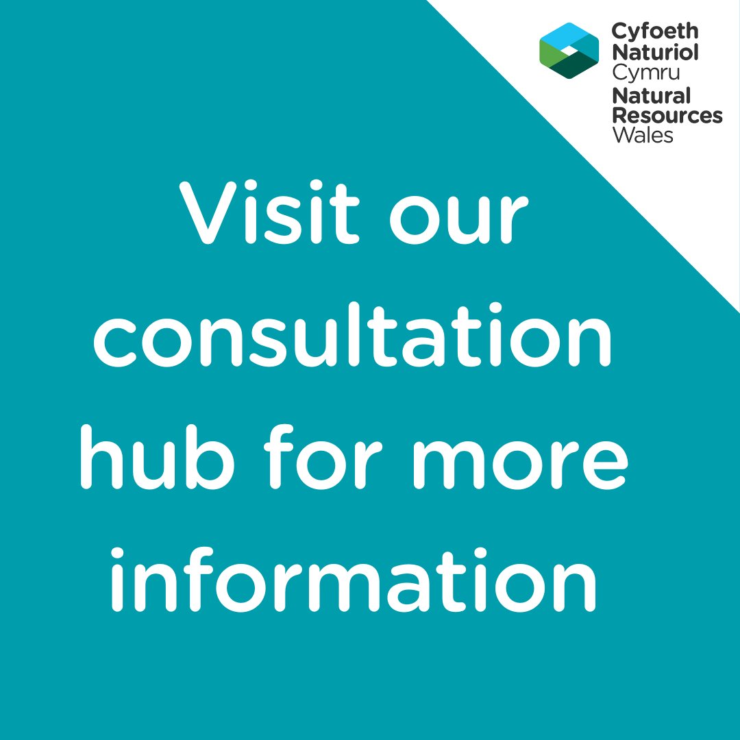 You can find out more information about the future of Bwlch Nant yr Arian, Ynyslas and Coed y Brenin visitor centres via our consultation hub.

Find out more at orlo.uk/eLgJw