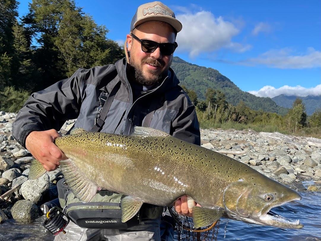 JtBoettiger's tweet photo. @MattHayesfish Chinook female. https://t.co/Roi85nUA2L