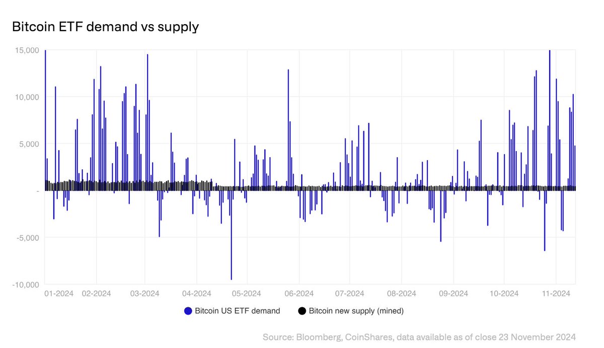 Dear Bitcoiner ⚡️ tweet media