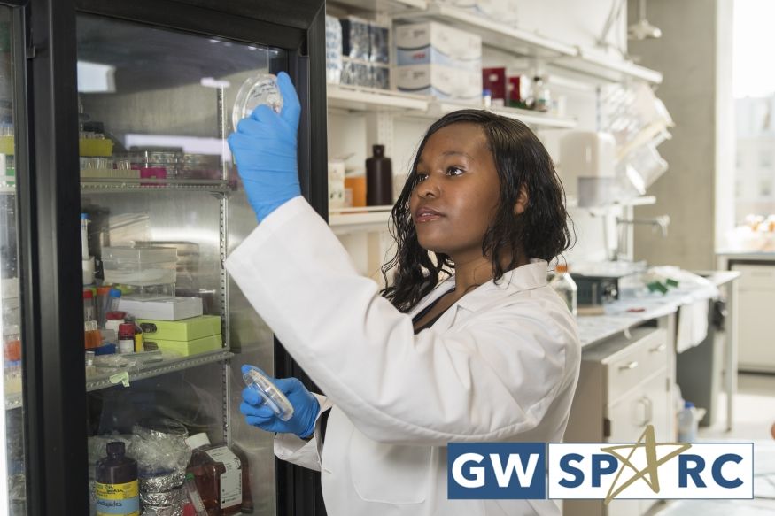 GW SMHS (@gwsmhs) on Twitter photo 📣 Calling all rising undergraduate juniors & seniors!
Applications are open for the GW SPARC program! Don't miss the chance to be mentored in <a href="/GWCancer/">GW Cancer Center</a> Center research labs for 10 weeks with housing and a stipend provided.
Apply before February 2, 2025: bit.ly/3W8N8uq 📣 Calling all rising undergraduate juniors & seniors!
Applications are open for the GW SPARC program! Don't miss the chance to be mentored in <a href="/GWCancer/">GW Cancer Center</a> Center research labs for 10 weeks with housing and a stipend provided.
Apply before February 2, 2025: bit.ly/3W8N8uq
